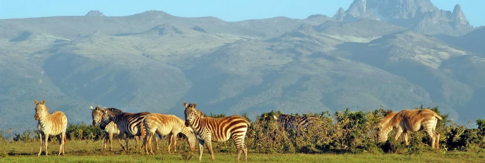 le parc national du Mont Kenya